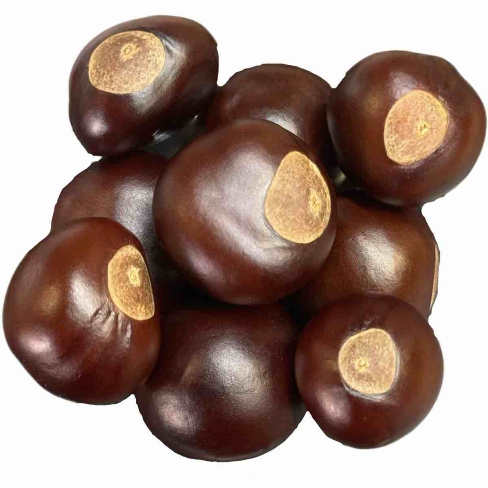 Buckeyes